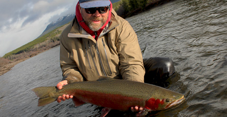 Land & release wild steelhead, Forks River Fishing, Washington