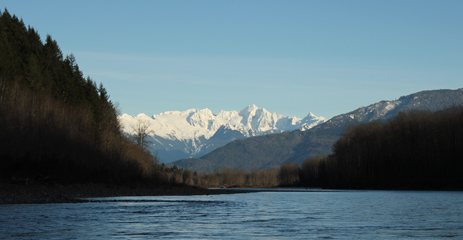 Scenic Rivers and Mountains, Forks River Fishing, Washington